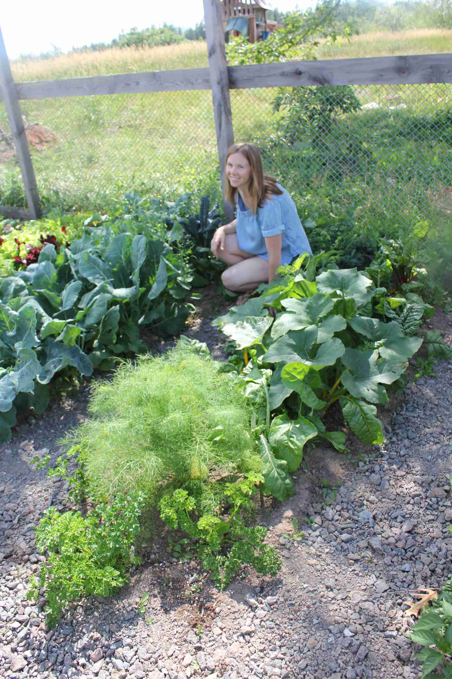weeded garden The Old Walsh Farm