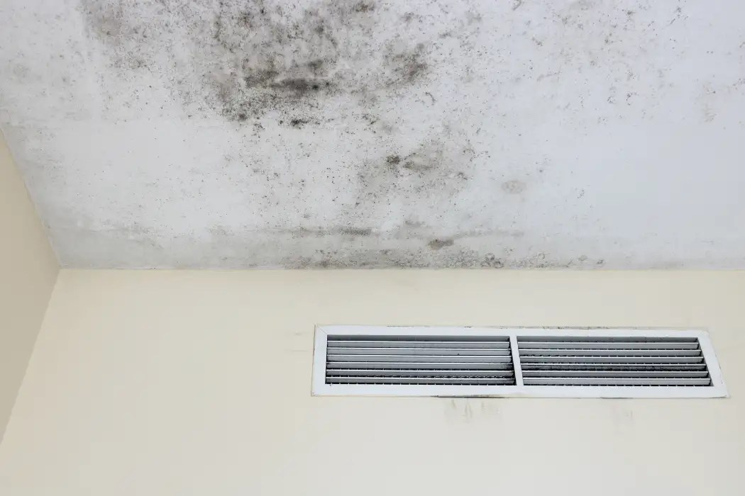 Air Purifier Mold Understanding the Risks and Solutions