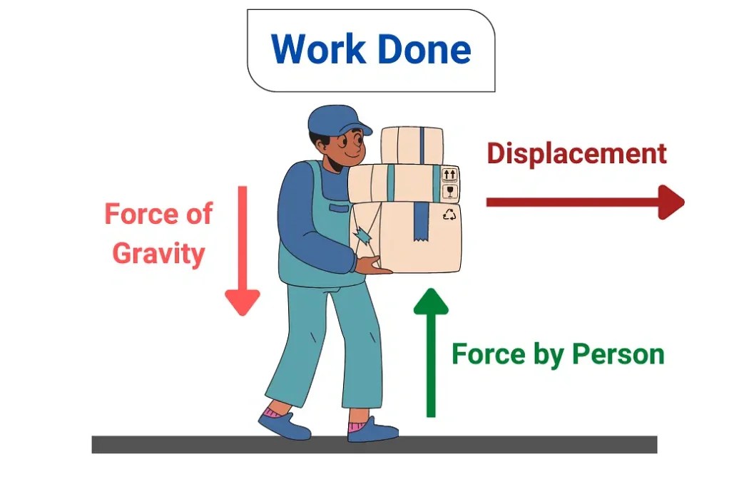 Positive and Negative Work Done Examples