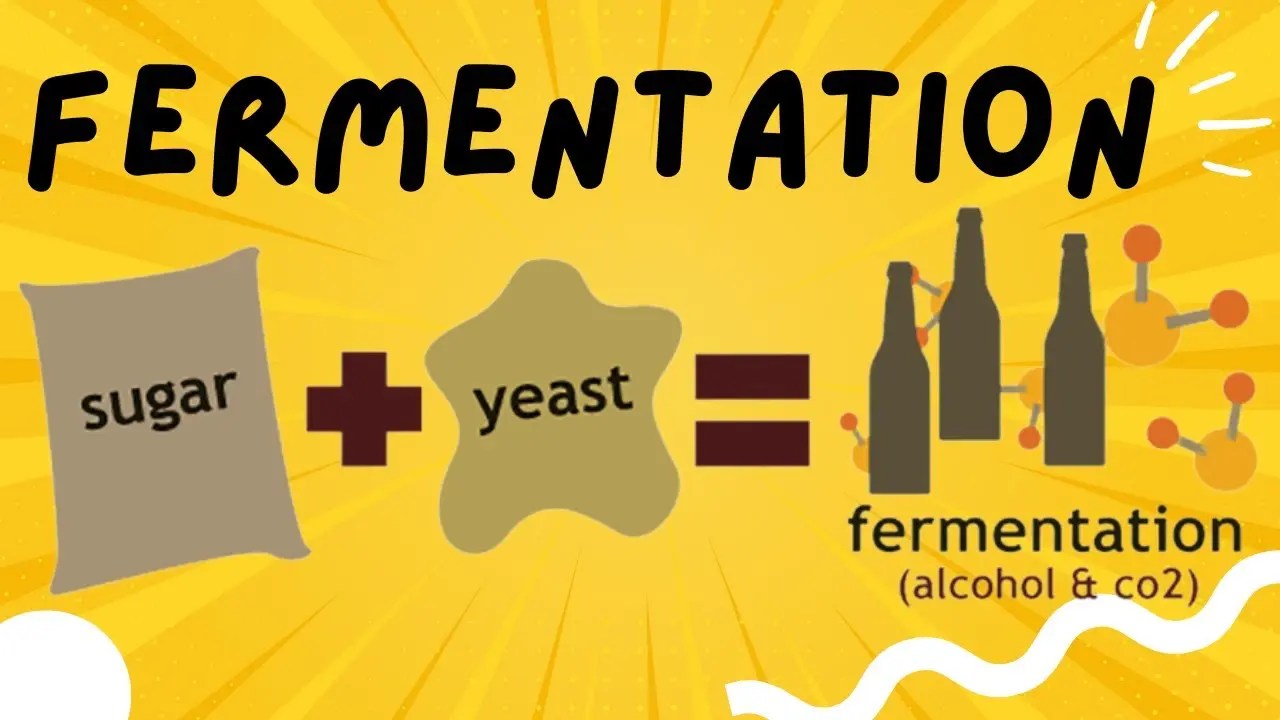 Unveiling the Power of Continuous Fermentation