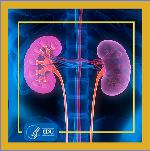 KIDNEY NUMBERS YOU NEED TO KNOW AntiAging OMY