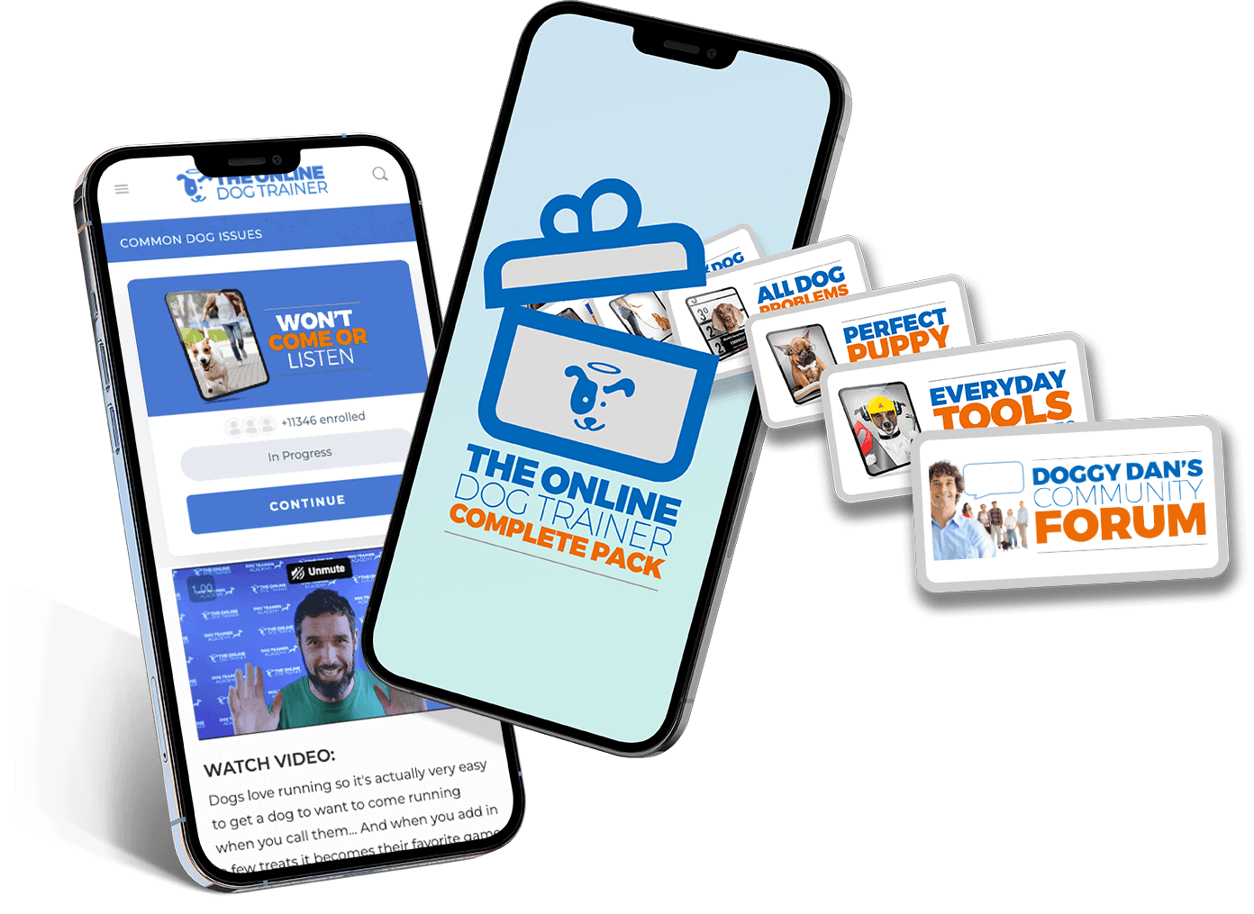 Checkout Christmas in July 2024 The Online Dog Trainer