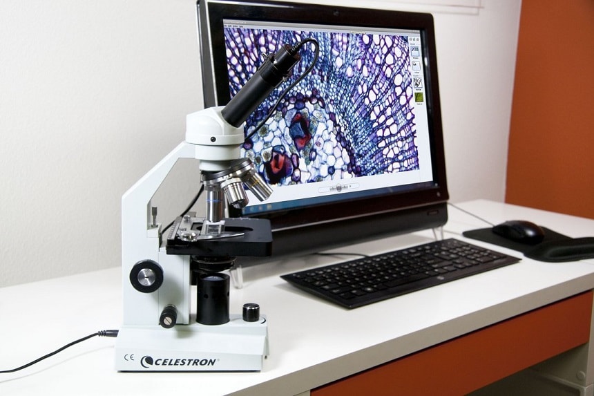 9 Best Digital Microscopes (Winter 2024) The Complete Guide