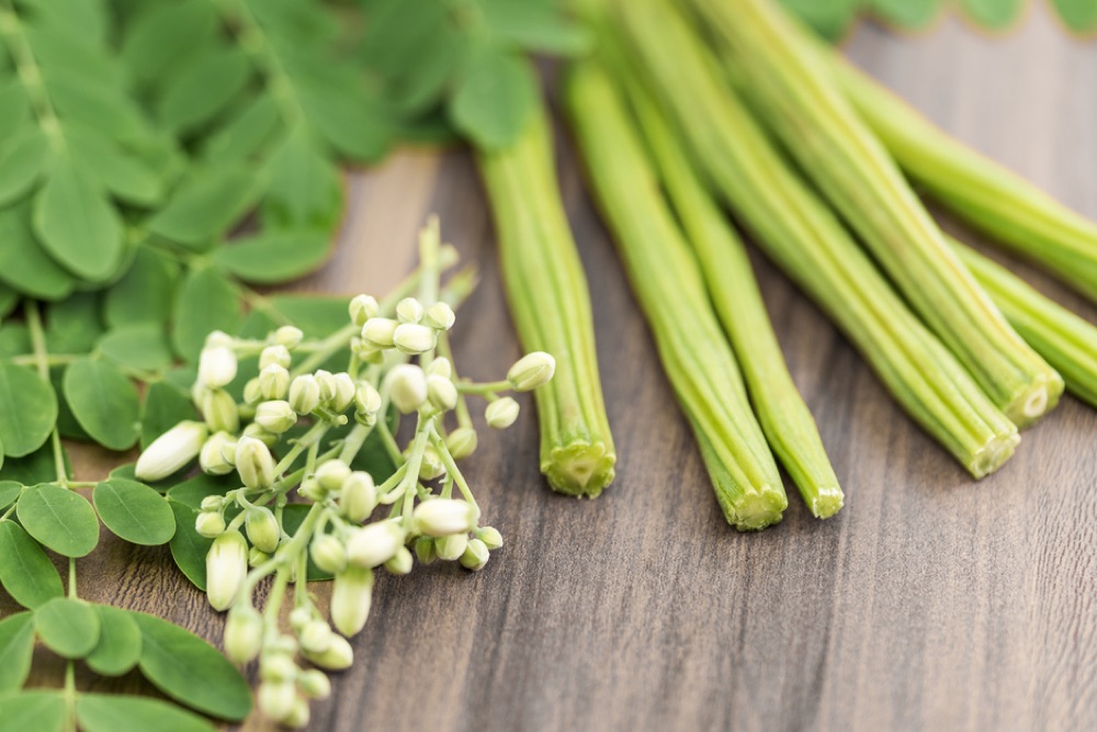 Eet jij al moringa? The Optimist