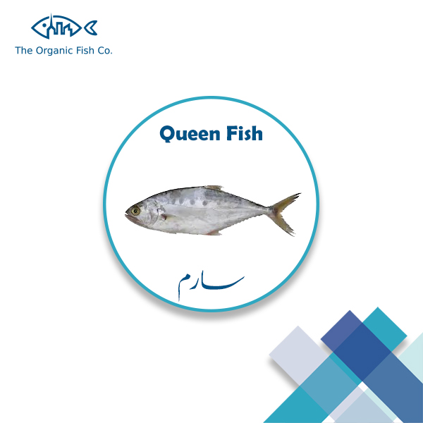 Queen Fish سارم The Organic Fish Co.