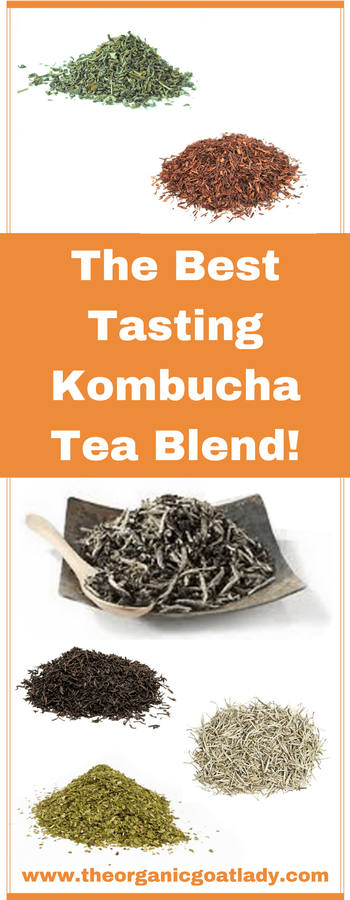 The Best Tasting Kombucha Tea Blend! The Organic Goat Lady