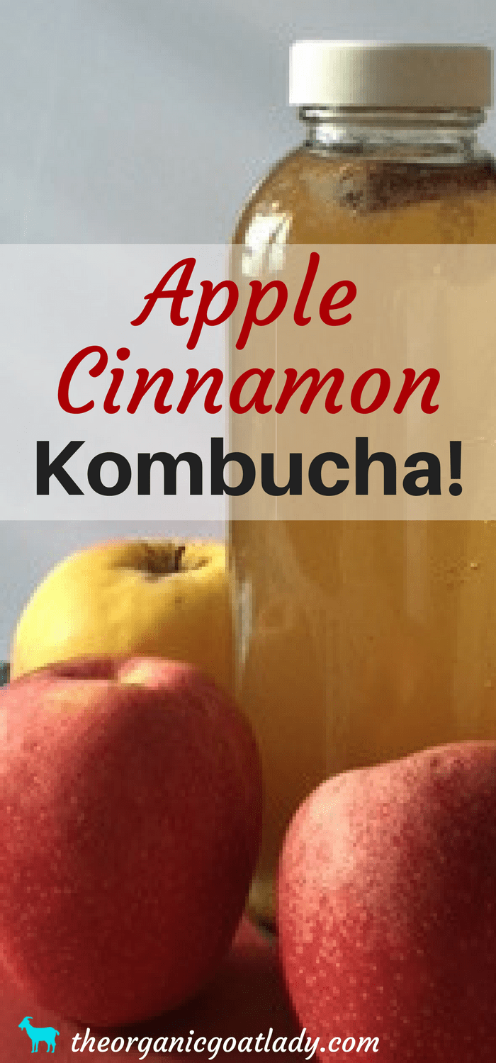 Apple Cinnamon Kombucha Recipe! The Organic Goat Lady