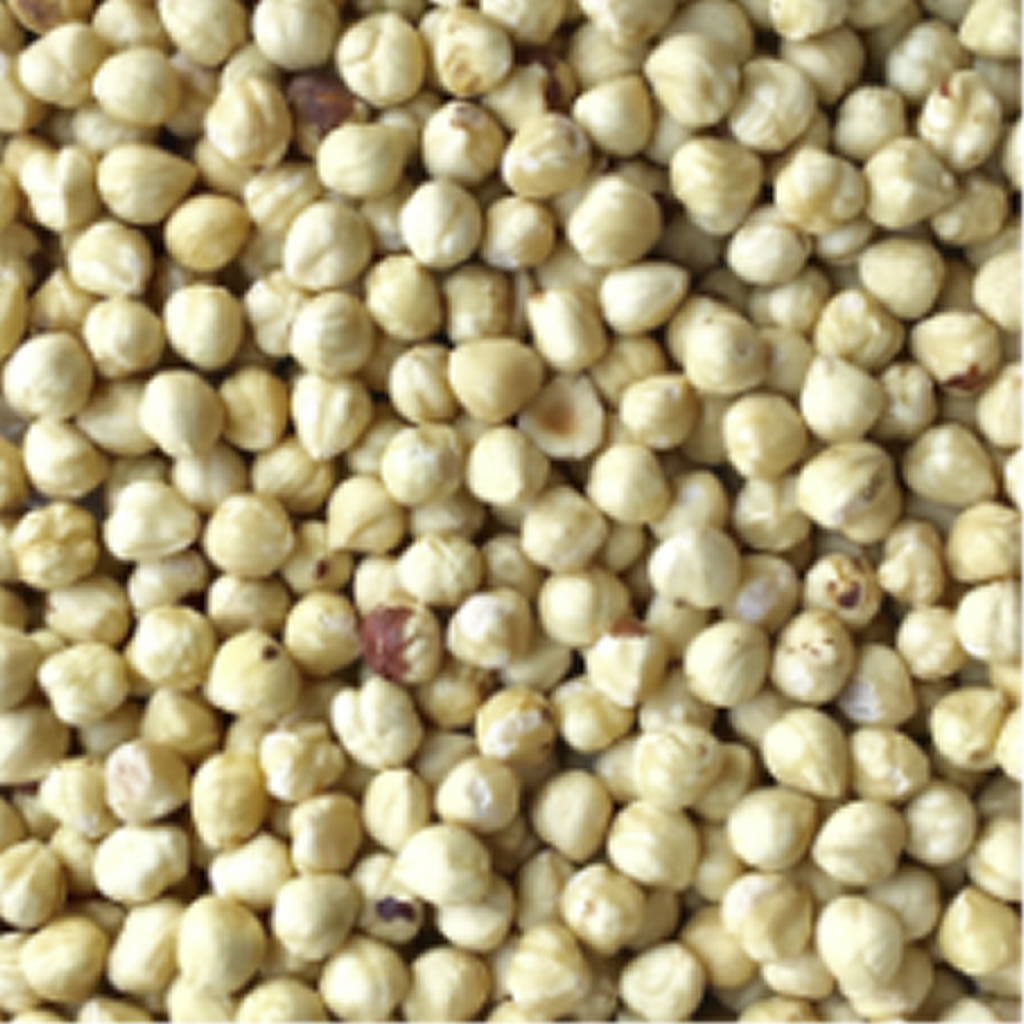 Organic Hazelnuts, dry roasted, whole OrganicPoint