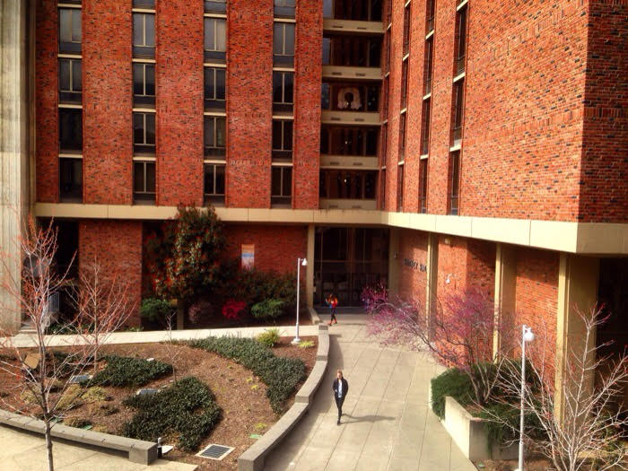 20 resident advisers fired, three on probation The Orion