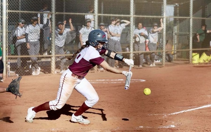 Wildcats takes home title in Desert Stinger Classic The Orion