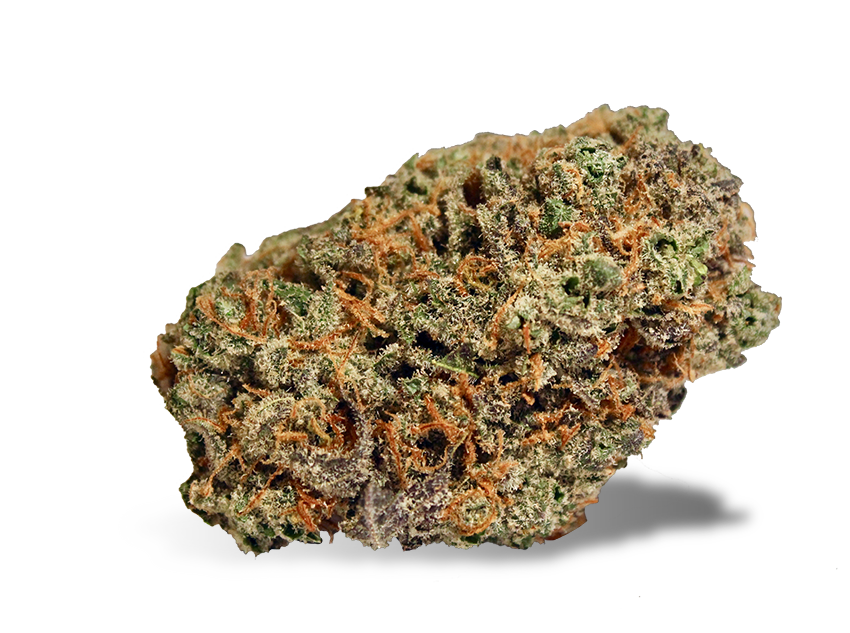 Blueberry Cookies Strain Cannabis Dispensary Theory Wellness