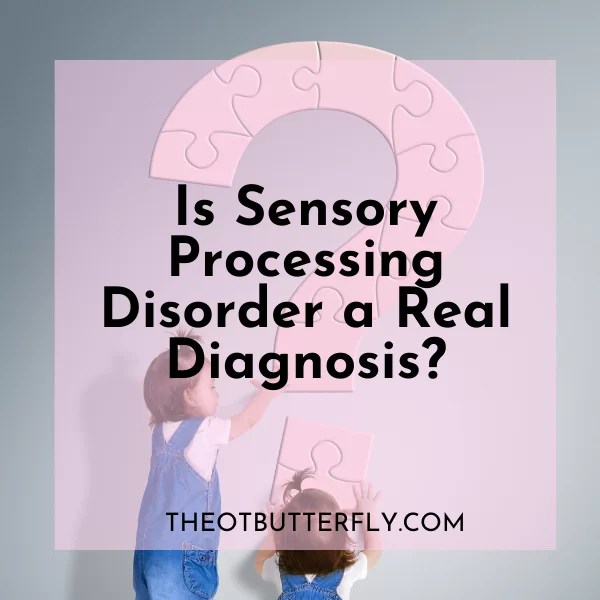 Is Sensory Processing Disorder a Real Diagnosis?