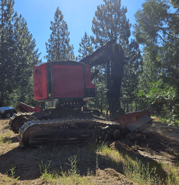 Enhancing Wildlife Habitat and Wildfire Resilience in the Eldorado