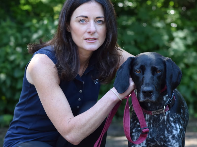 Should Dogs Be Kept on Leads? The British Public are Divided The Outdoor Guide