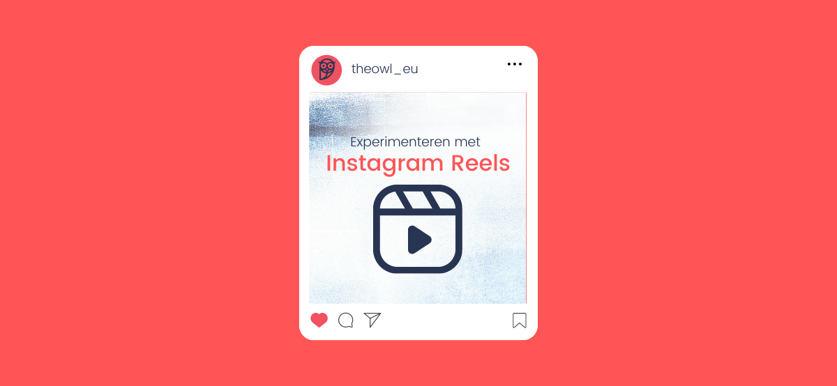Hoe maak je leuke Reels? The Owl
