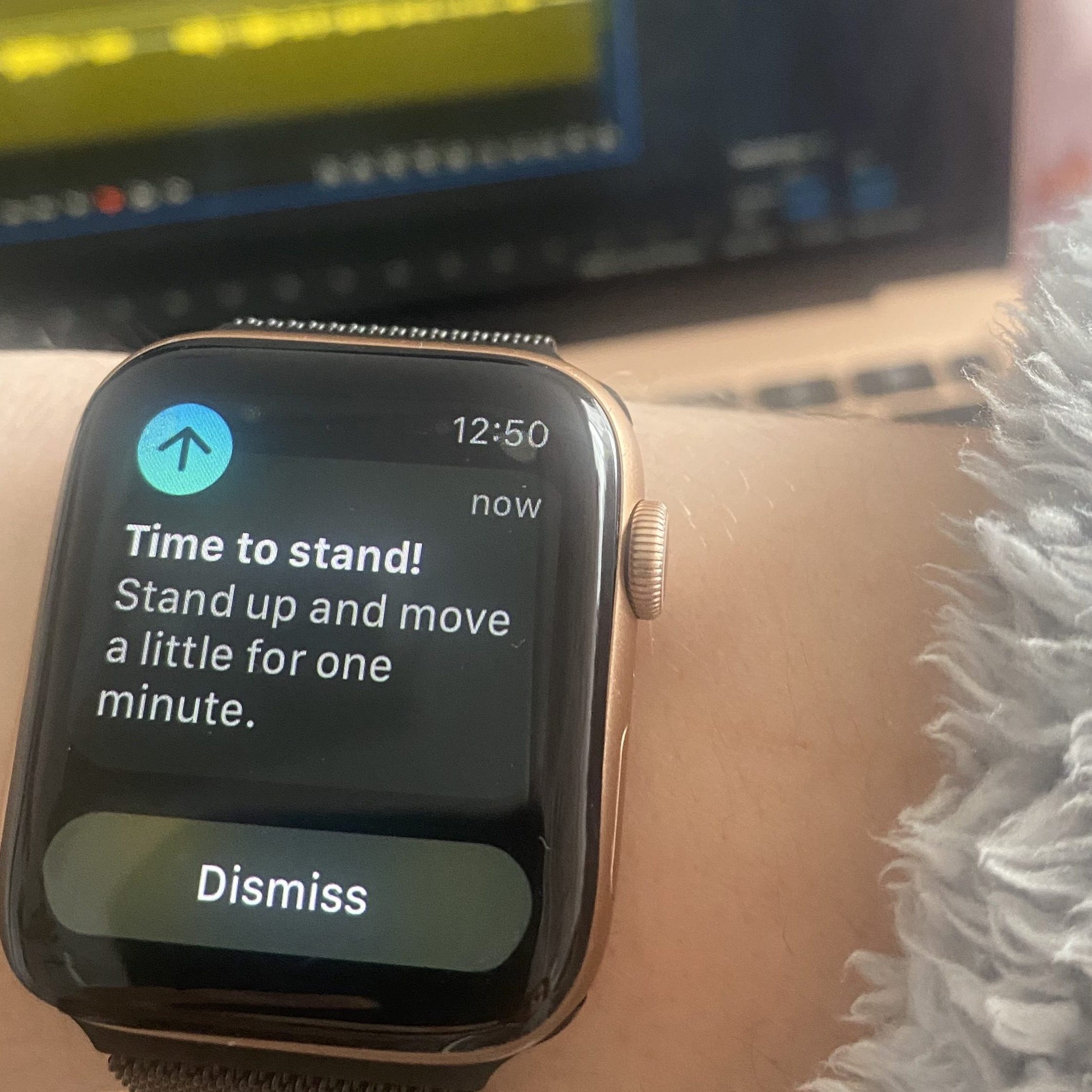 Managing ADHD with an Apple Watch The Owl