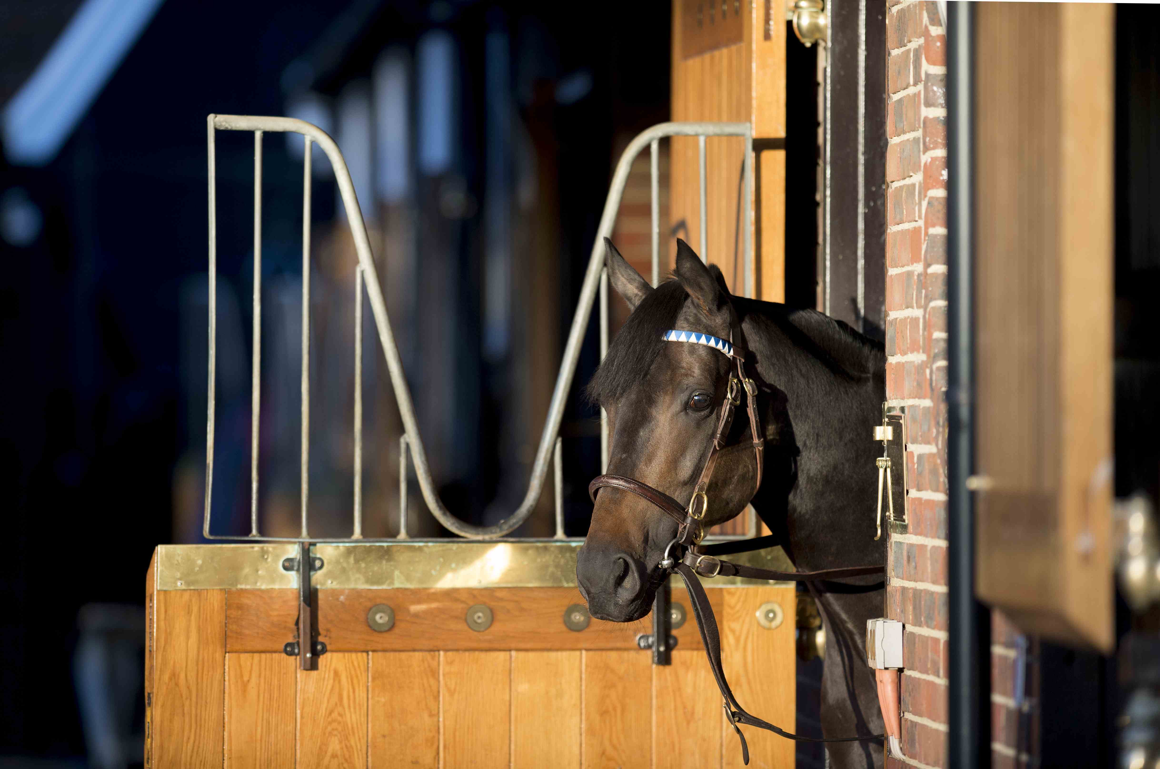 Jockeys' 'whip rule' strike averted The Owner Breeder