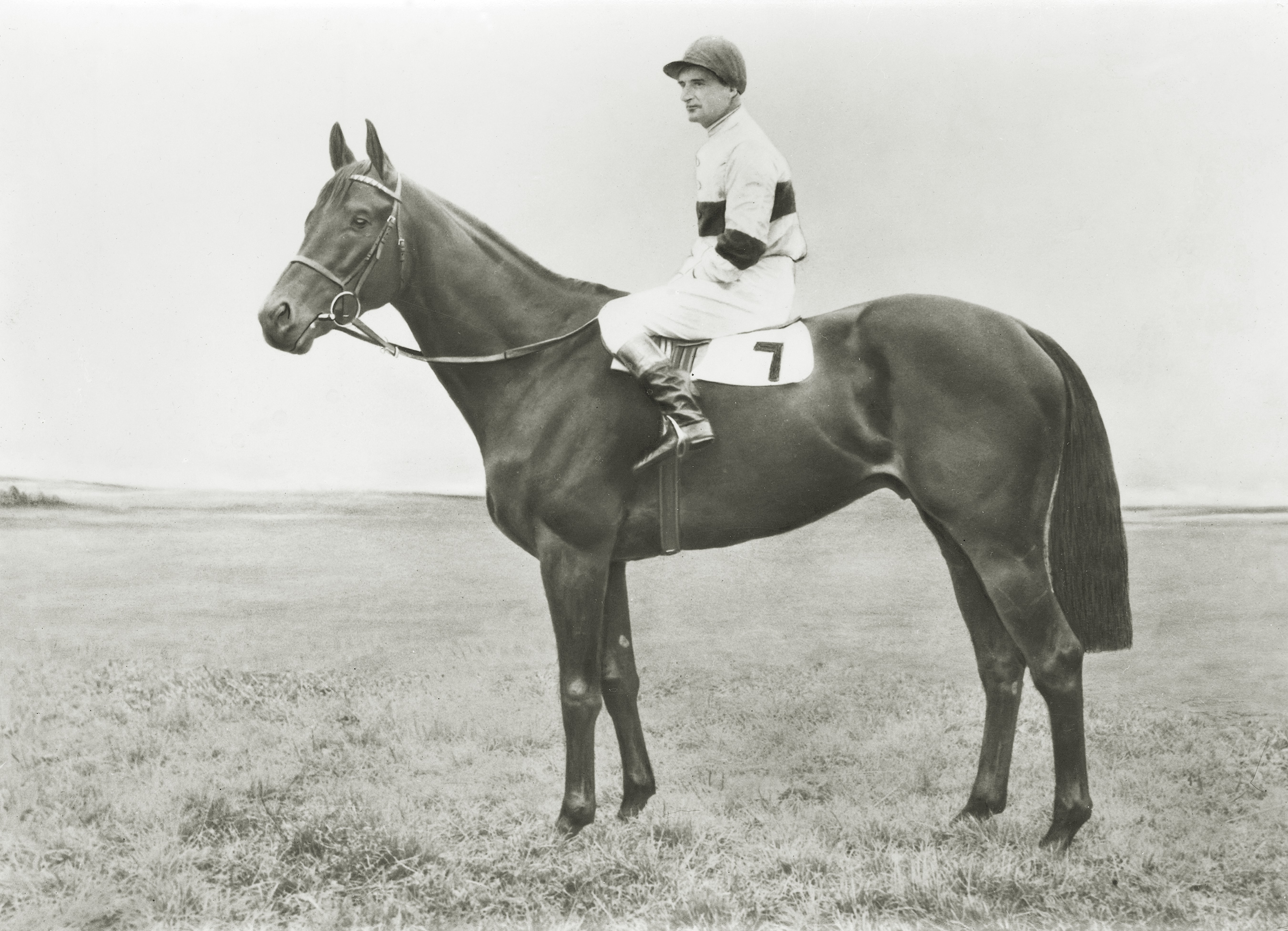 Holliday and Hethersett loom large in the pedigree of Harzand The