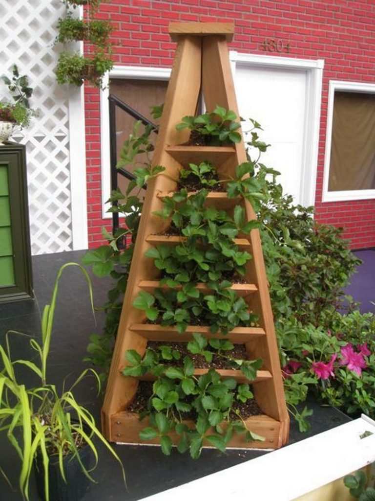 Build A Great Strawberry Pyramid Planter in 4 Steps!