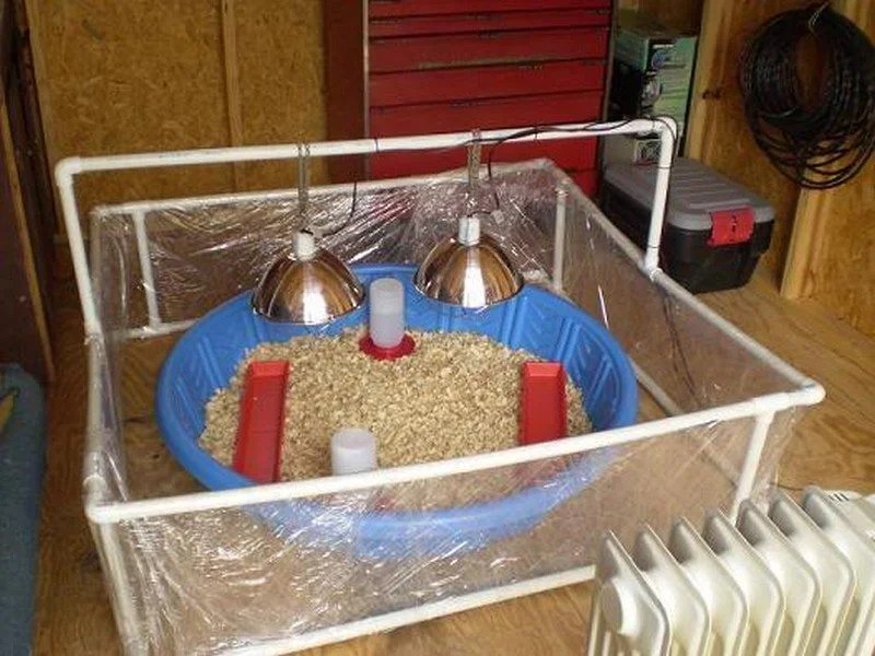 6 Creative Chick Brooder Ideas The OwnerBuilder Network