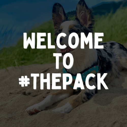 PACK Brand Ambassador Portal