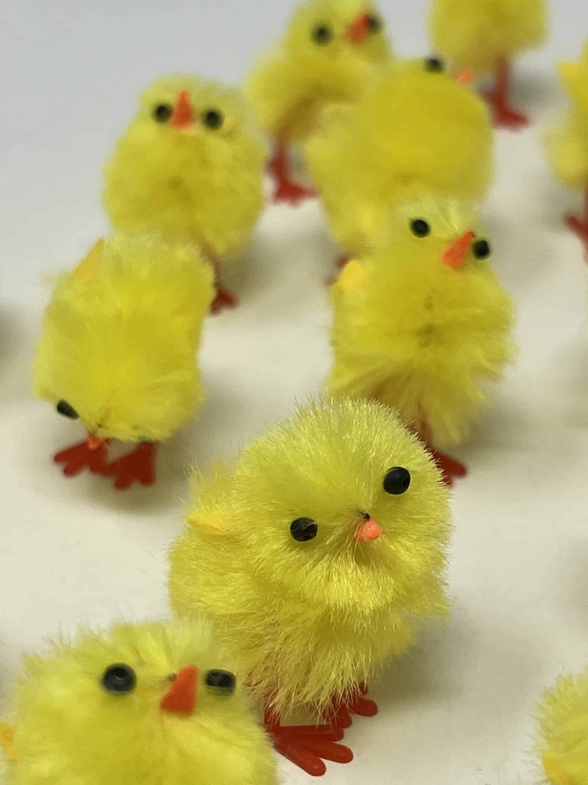 Yellow Chenille Small Easter Chicks
