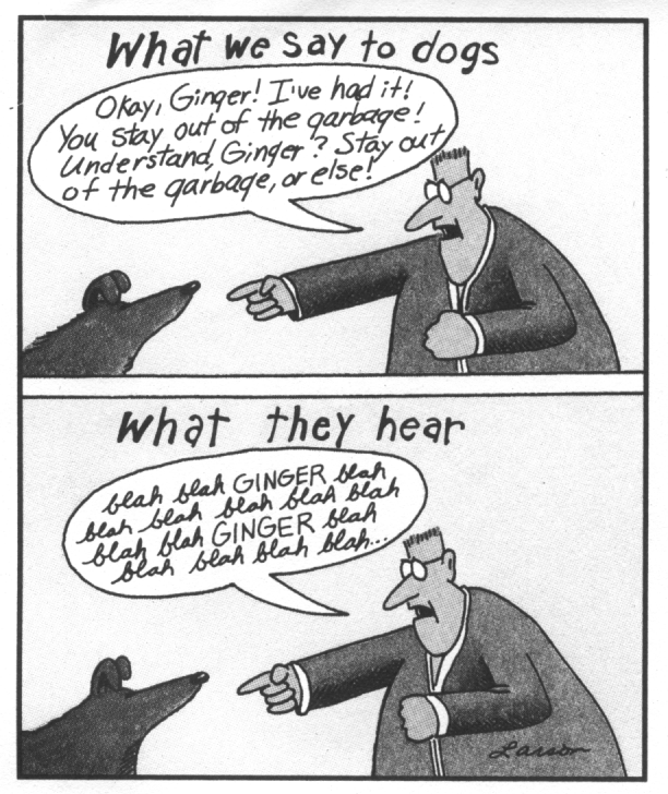 The 4 Characteristics of a Pack Leader The Pack Daddy