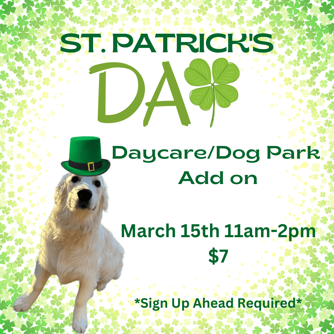 St. Patrick's Day Daycare/Dog Park Add On The Pack Indoor Dog Park