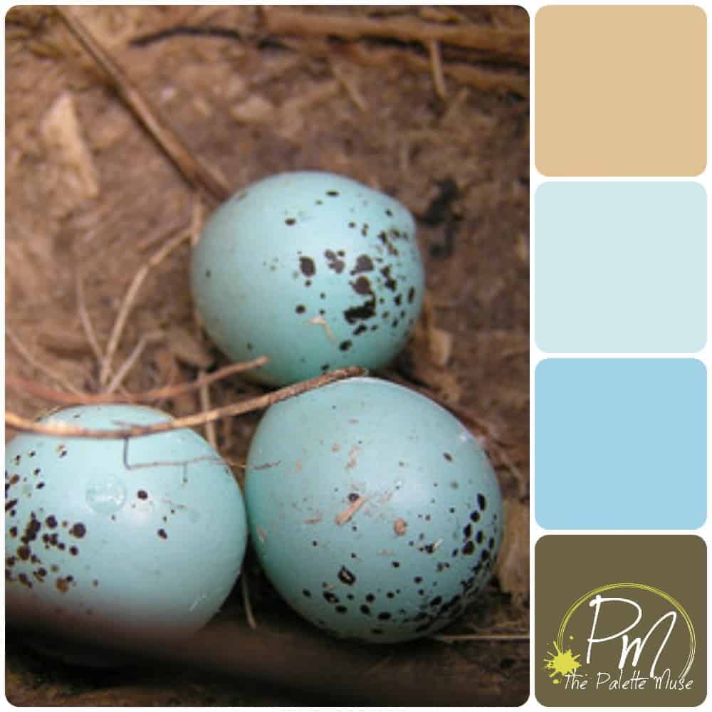 Robin Egg Blue Bedroom