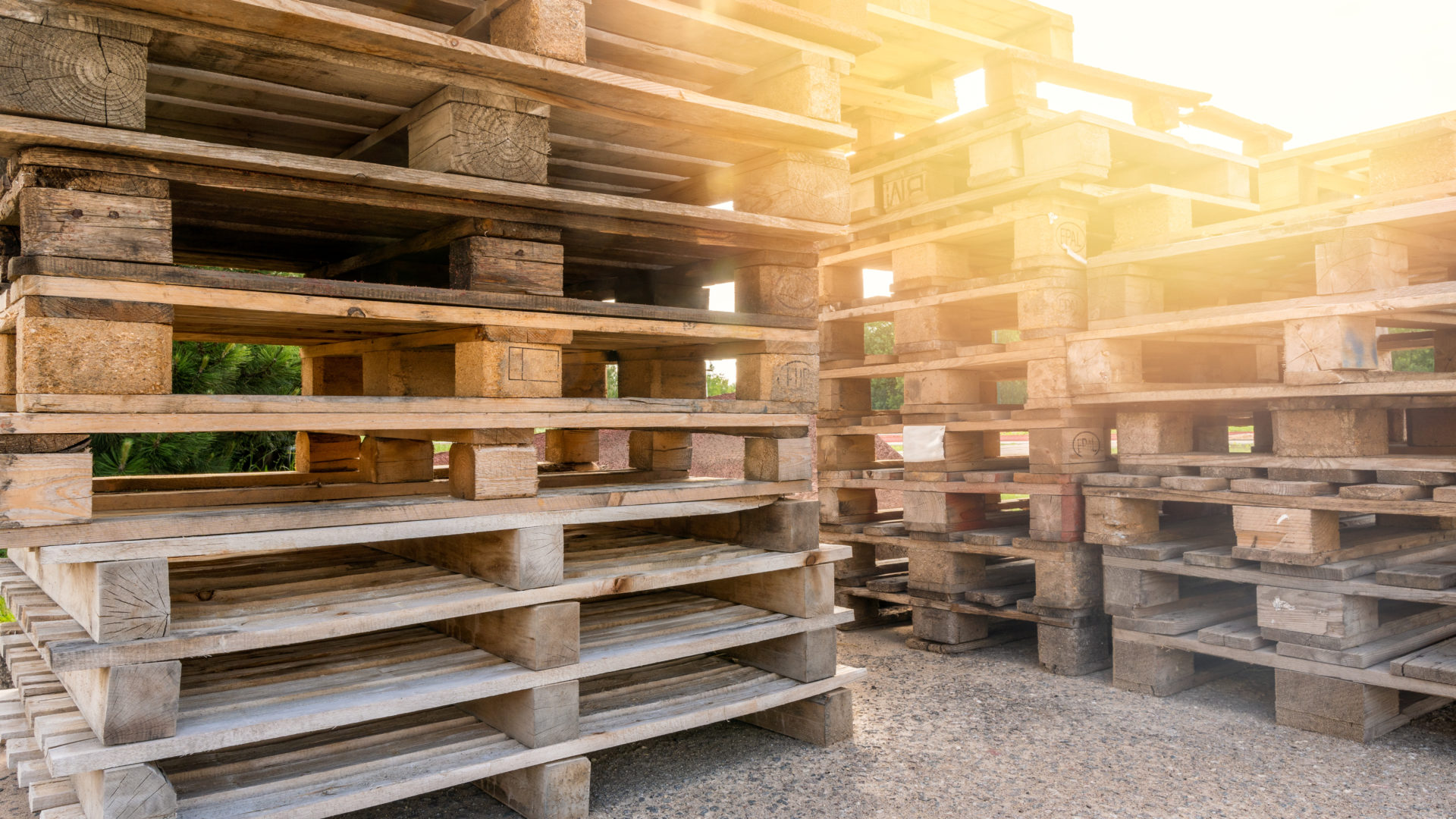 The Pallet Business Courses Learn More
