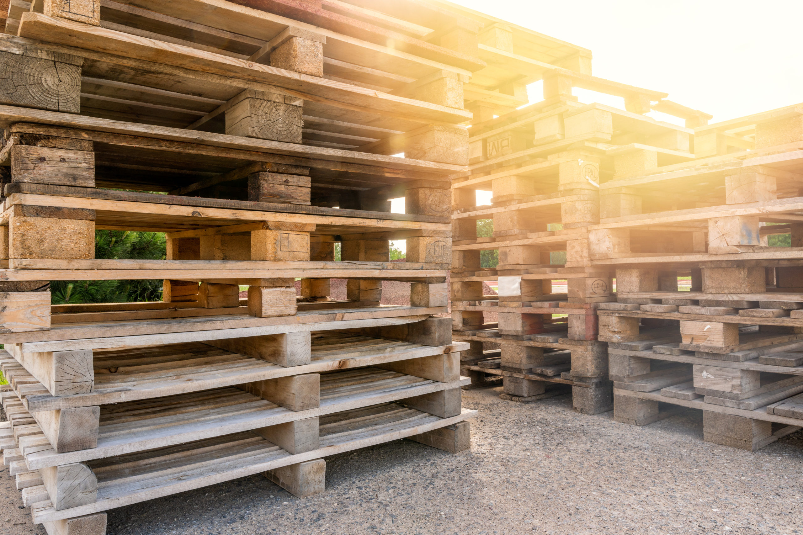 What Are the Different Types of Wood Pallets?