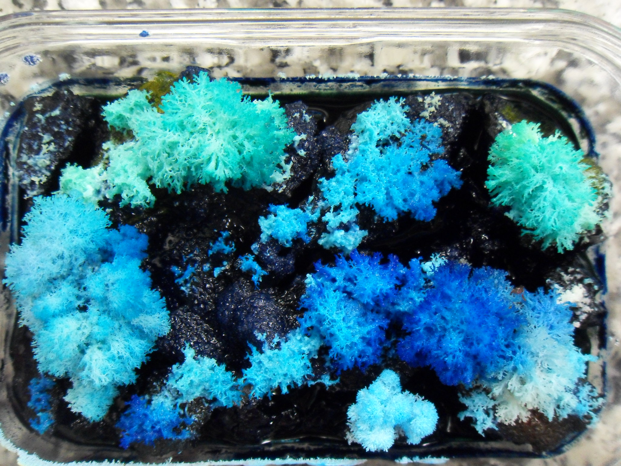 Coal Crystal Garden Recipe Fasci Garden