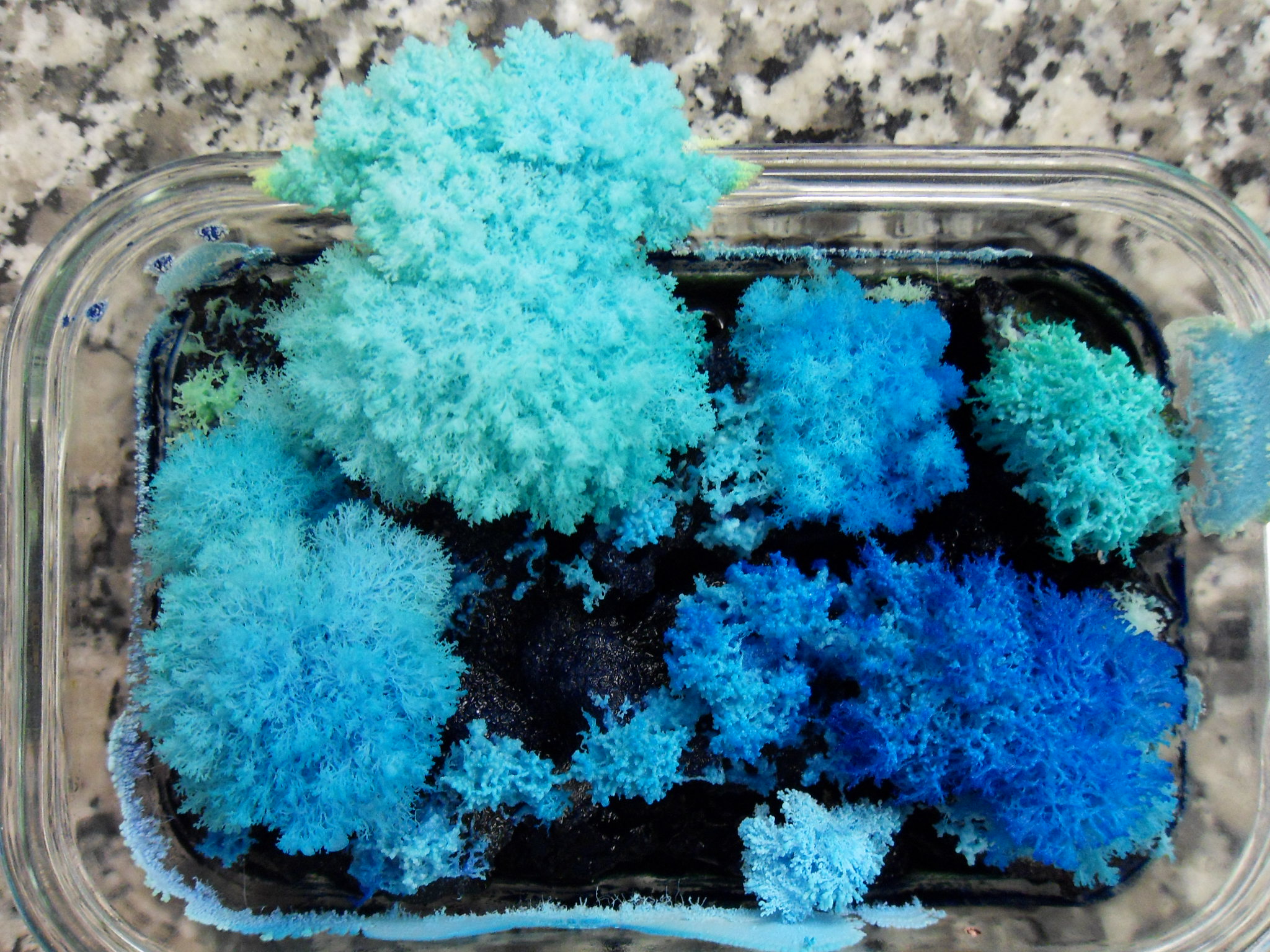 Coal Crystal Garden Recipe Fasci Garden