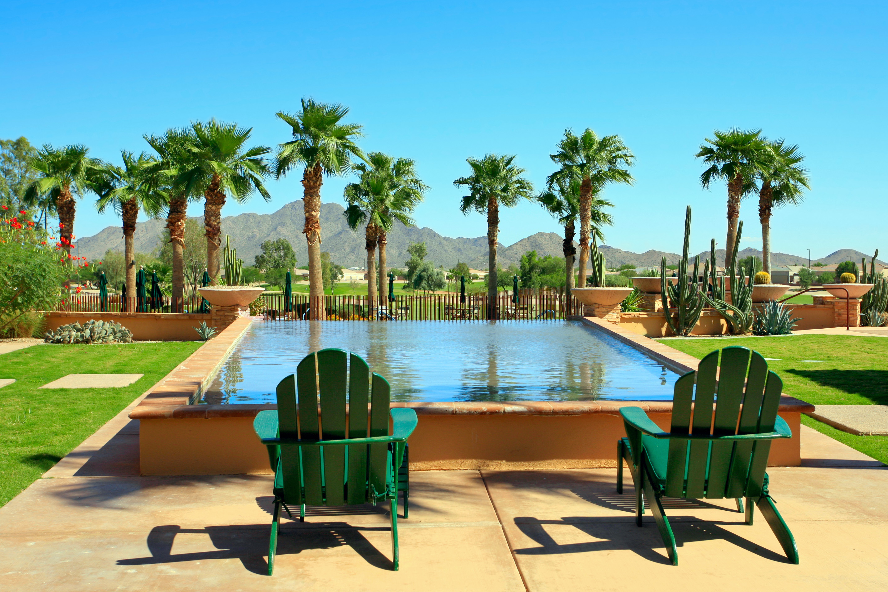 Search Tatum Ranch Homes For Sale Now The Panozzo Team