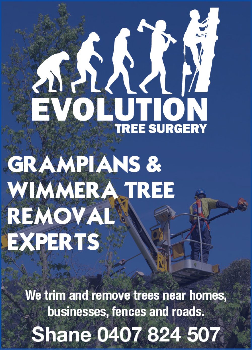 Evolution Tree Surgery The Parent