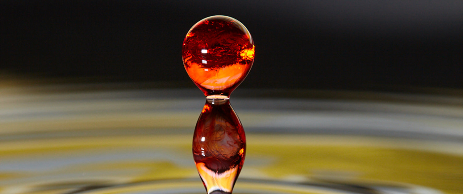 Parkstone Capital Growth with Stability