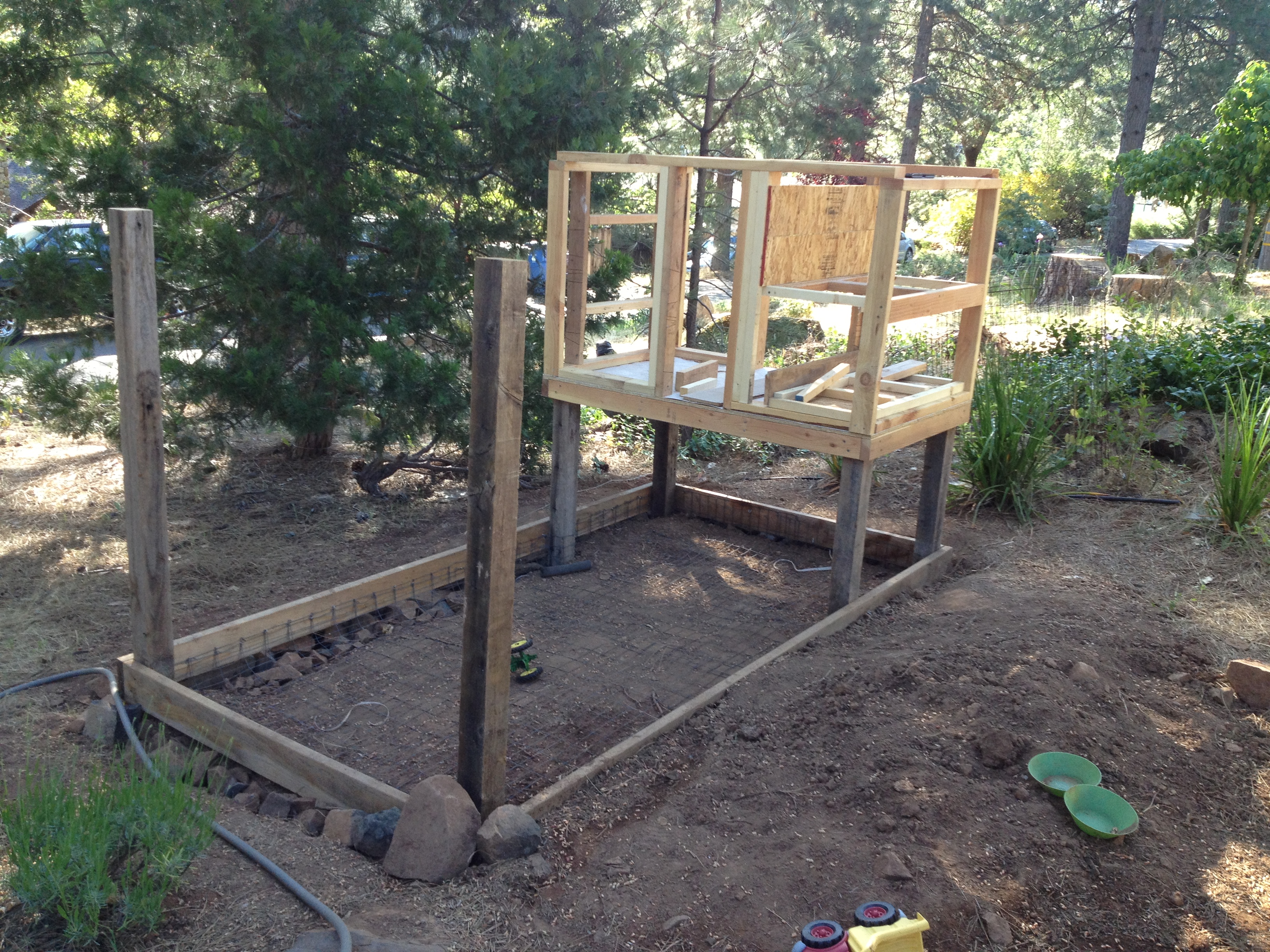 Chicken Coop - The Patchy Lawn (3264 x 2448 Pixel)