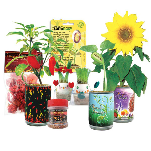 Order Samples or Kits Magic Plant Farms