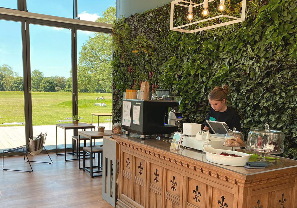 A space for Mind Body Wellness The Pavilion Chichester