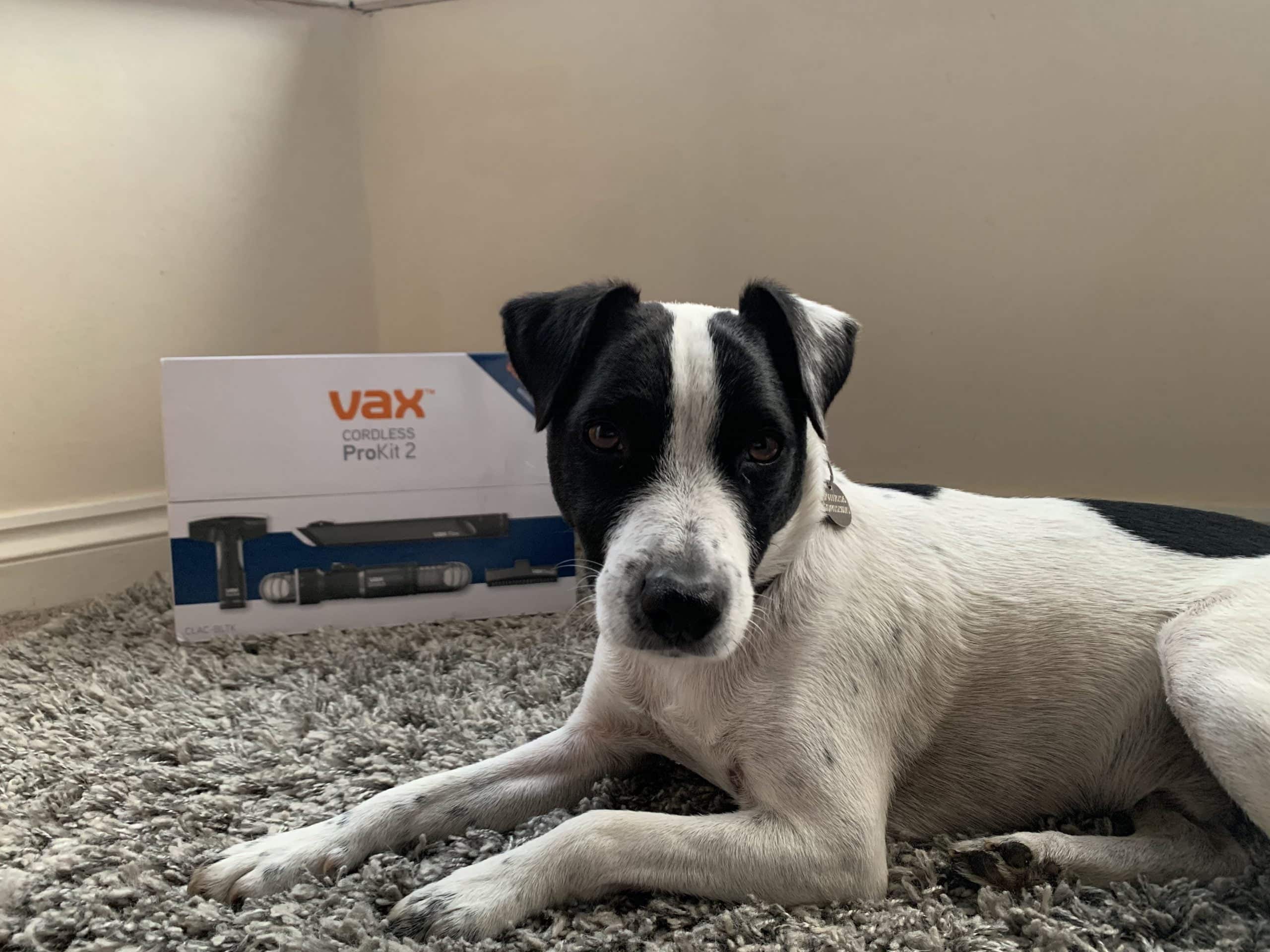 Vax ONEPWR Blade 4 Pet Review the perfect cordless vacuum for pet