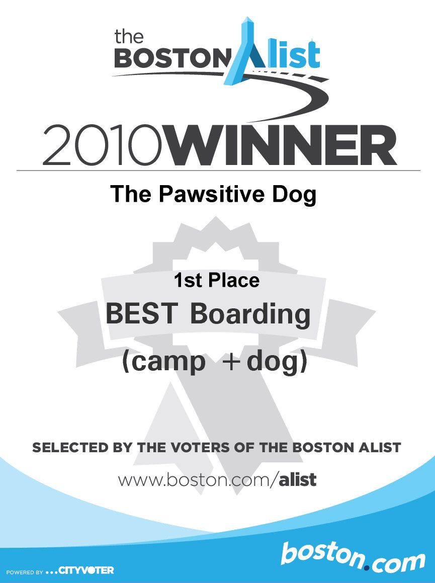 Dog Training Massachusetts, Dog Training Harvard, Dog Training Hudson