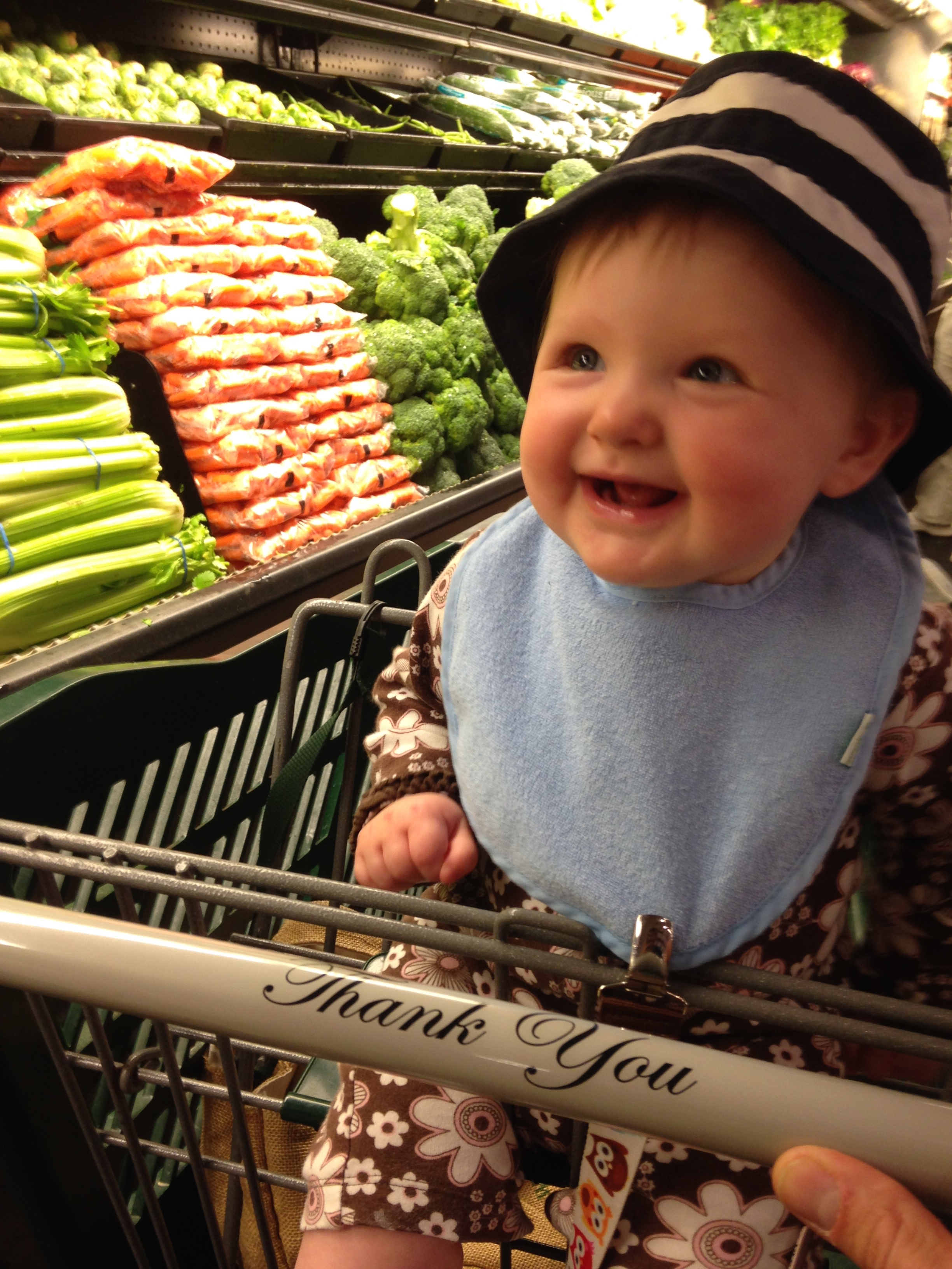 Shopping Cart Picture The Peabody Chronicles