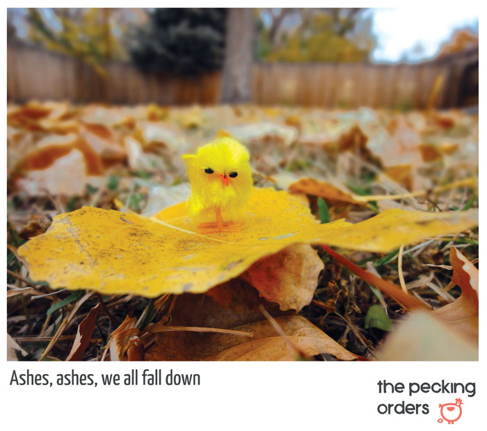 Nursery rhymes are heavy... The Pecking Orders