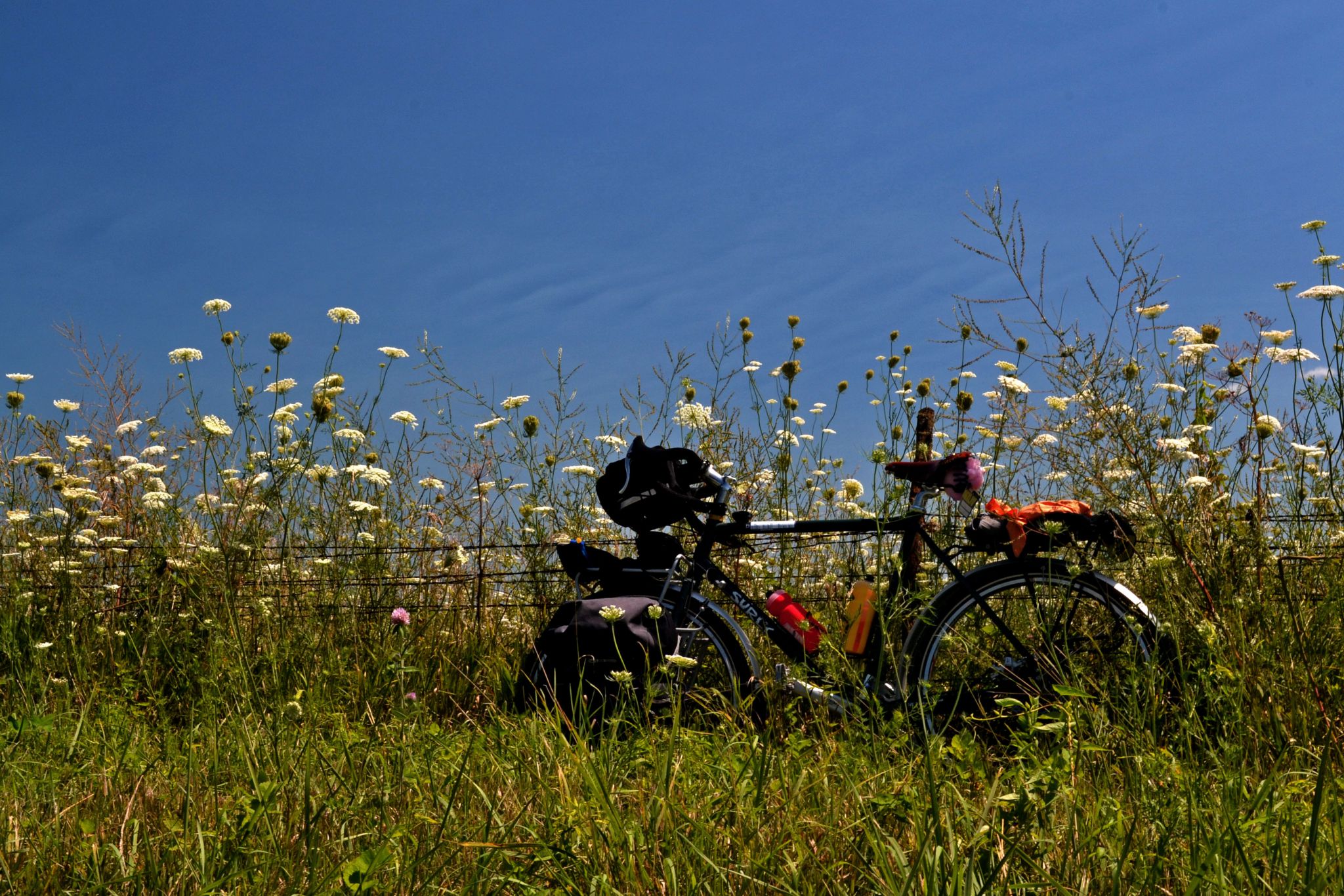 RAGBRAI A Twowheeled Ode to a FlyOver State