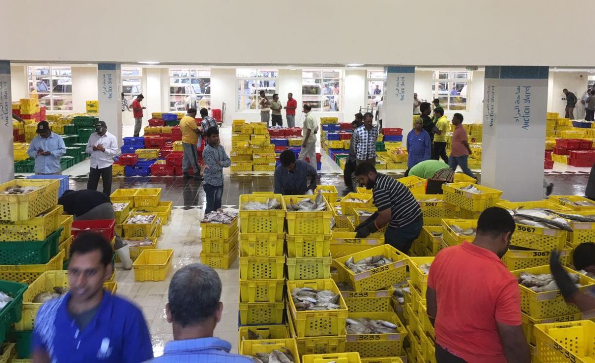 New fish market opens at Umm Salal The Peninsula Qatar