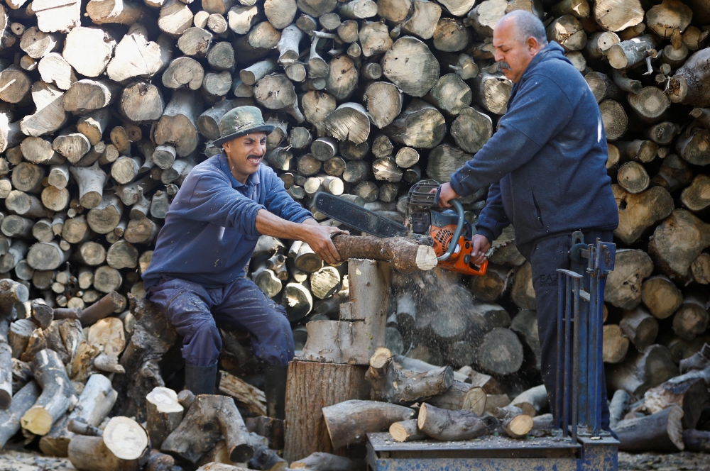 Gazans turn to firewood as energy prices soar The Peninsula Qatar