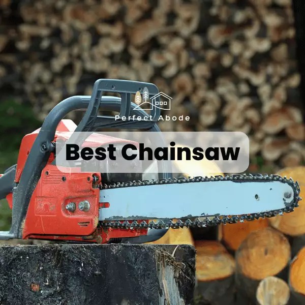 Best Chainsaw