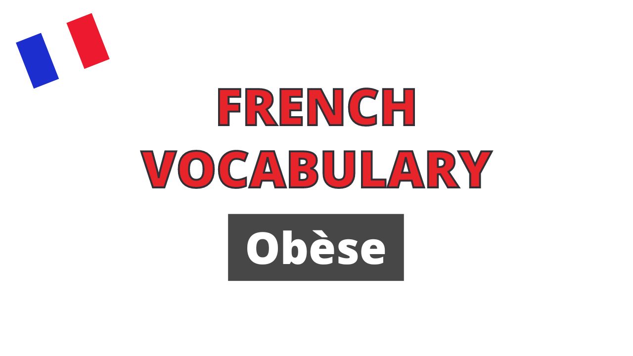 Obèse French Online Language Courses The Perfect French with Dylane