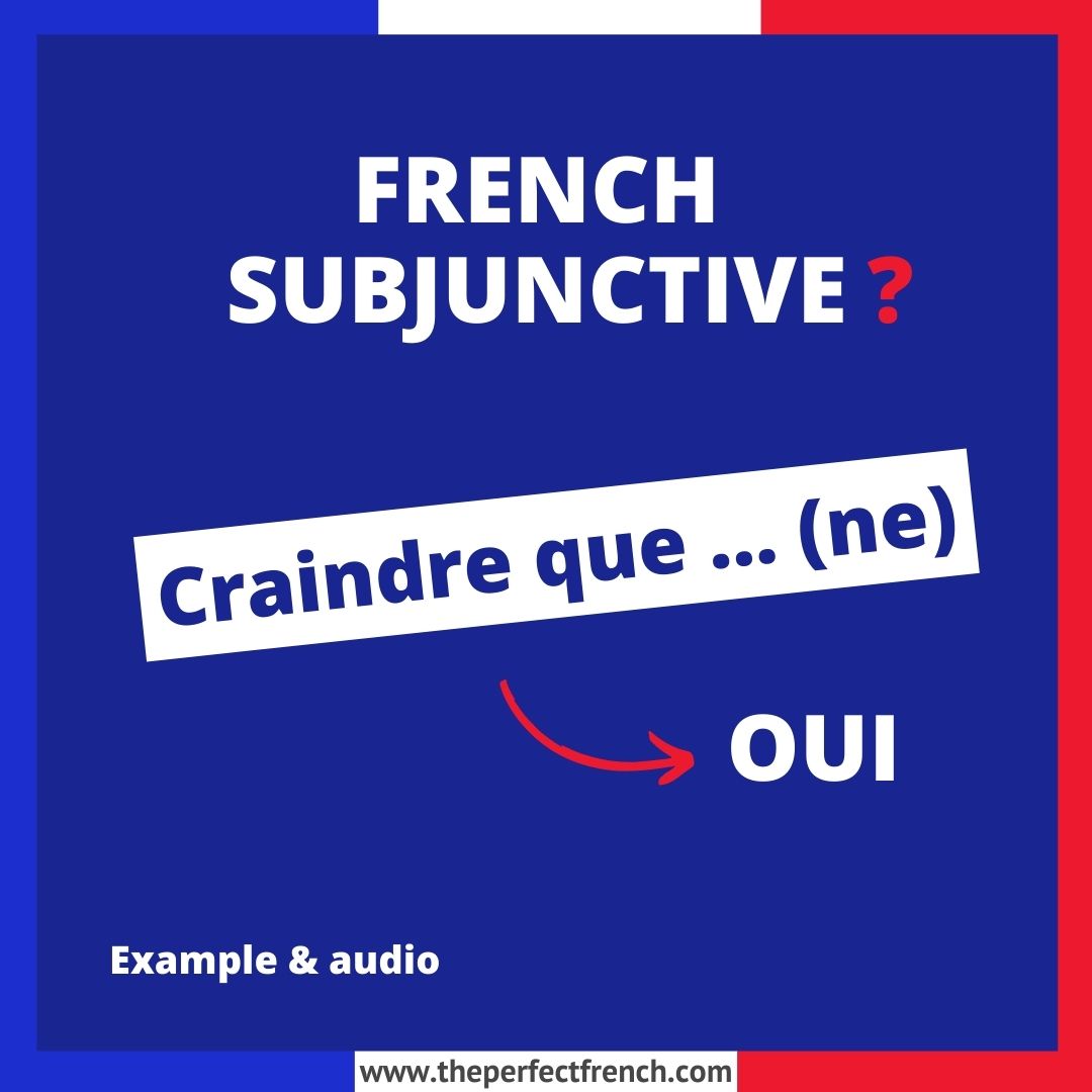 Craindre que (ne) French Online Language Courses The Perfect