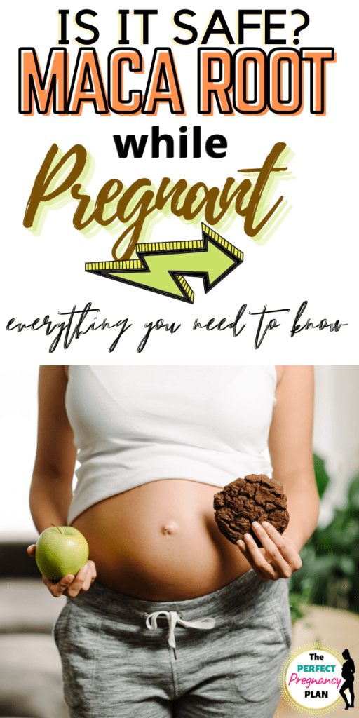 Maca During Pregnancy Is it Safe?